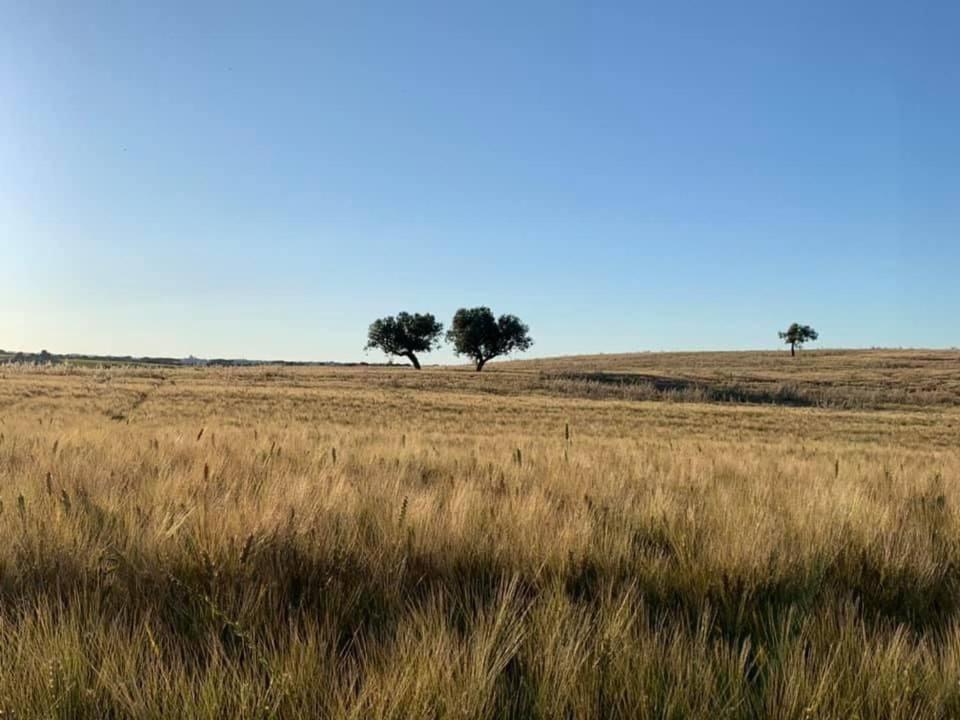 Maison Colline du Mer Cupra Marittima Eksteriør bilde